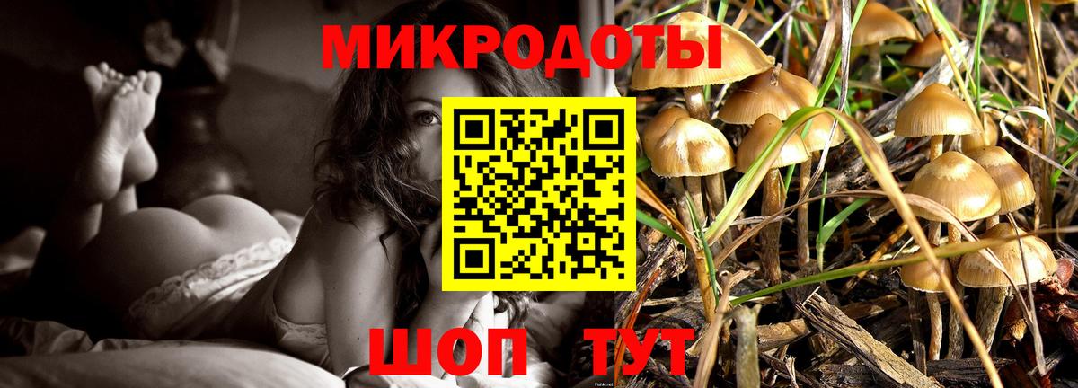 наркота  Вход с VPN  Галлюциногенные грибы MAGIC MUSHROOMS  Ступино  Галлюциногенные грибы Cubensis 